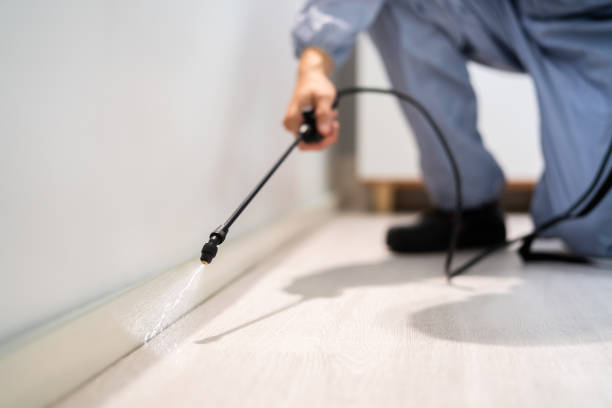 Licensed Termite Control service in Modoc County County, CA - Nex Pest Control