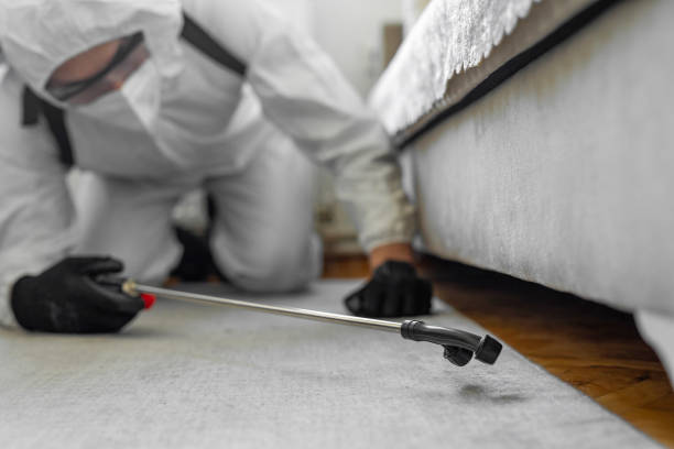 Professional Termite Control technician working in Modoc County County, CA